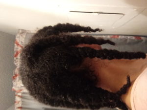 protective hairstyle for moisture detangle