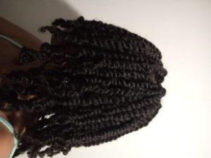 Two-strand Twist for Starter Locs