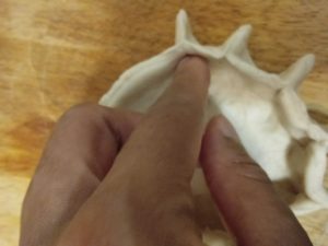 Making gizzada shell from scratch